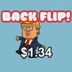 Flips